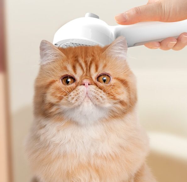 Peigne Autonettoyant pour Chien & Chat avec Brumisateur – Brosse Démêlante Anti-Poils Morts pour Toilettage Doux – Image 4