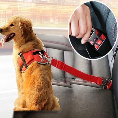 Ceinture de Sécurité Réglable pour Chien & Chat – Harnais Clip Voiture pour Animaux