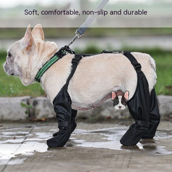 Chaussures pour chien imperméables – Protection des pattes en balade ! – Image 9