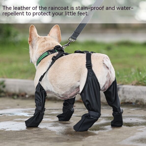 Chaussures pour chien imperméables – Protection des pattes en balade ! – Image 4