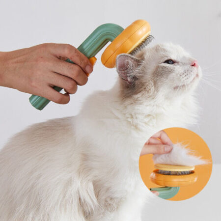 Brosse Citrouille Autonettoyante pour Chien, Chat, Lapin – Brosse Slicker Anti-Poils Morts et Nœuds