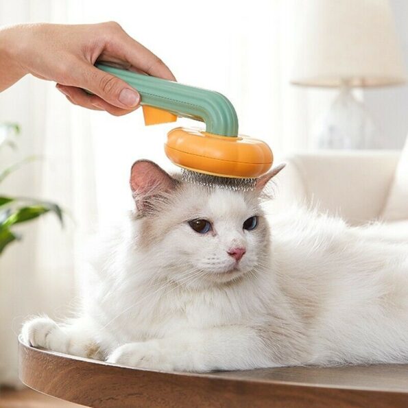 Brosse Citrouille Autonettoyante pour Chien, Chat, Lapin – Brosse Slicker Anti-Poils Morts et Nœuds – Image 4