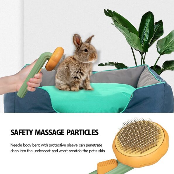 Brosse Citrouille Autonettoyante pour Chien, Chat, Lapin – Brosse Slicker Anti-Poils Morts et Nœuds – Image 10