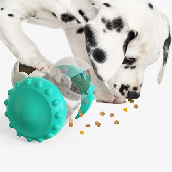 Voiture interactive pour animaux – Nourrissez et stimulez votre compagnon ! – Image 8