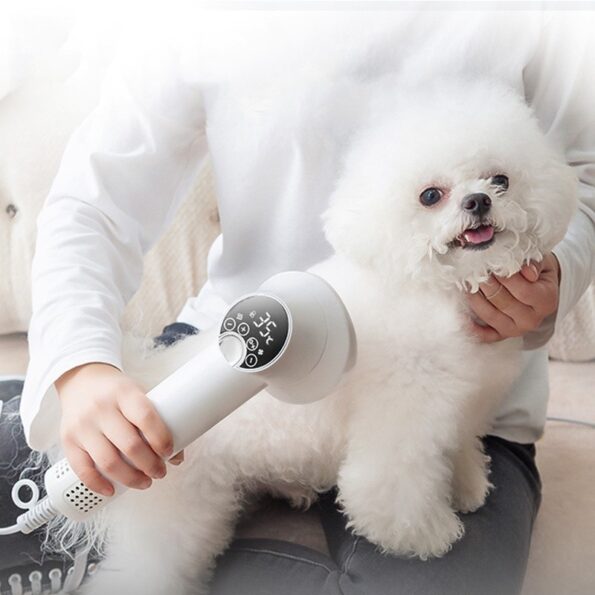 Sèche-Cheveux Intelligent pour Animaux | 2 en 1 Brosse & Séchage – Silencieux & Sans Danger pour Chiens et Chats – Image 7