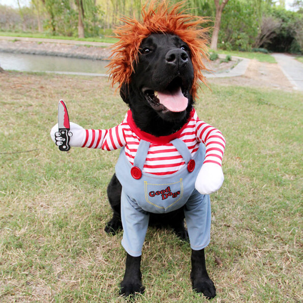 Costume Halloween pour Chien – Déguisement Drôle et Ajustable pour Cosplay & Fête – Image 7