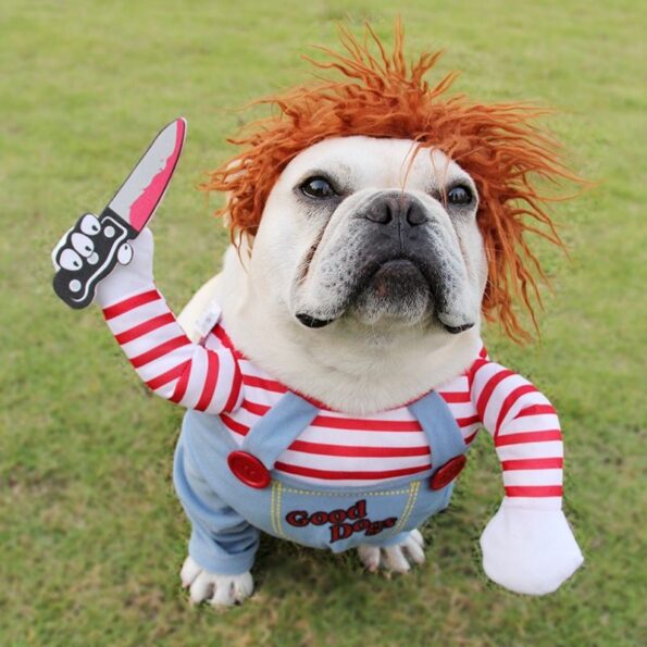 Costume Halloween pour Chien – Déguisement Drôle et Ajustable pour Cosplay & Fête – Image 2
