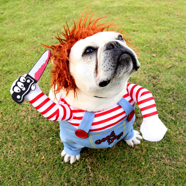 Costume Halloween pour Chien – Déguisement Drôle et Ajustable pour Cosplay & Fête – Image 9