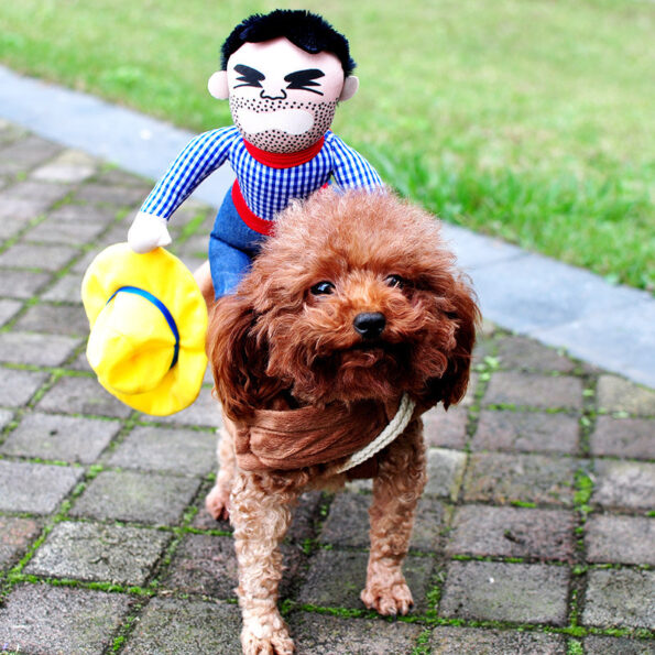 Costume Halloween pour Chien – Déguisement Drôle et Ajustable pour Cosplay & Fête – Image 4
