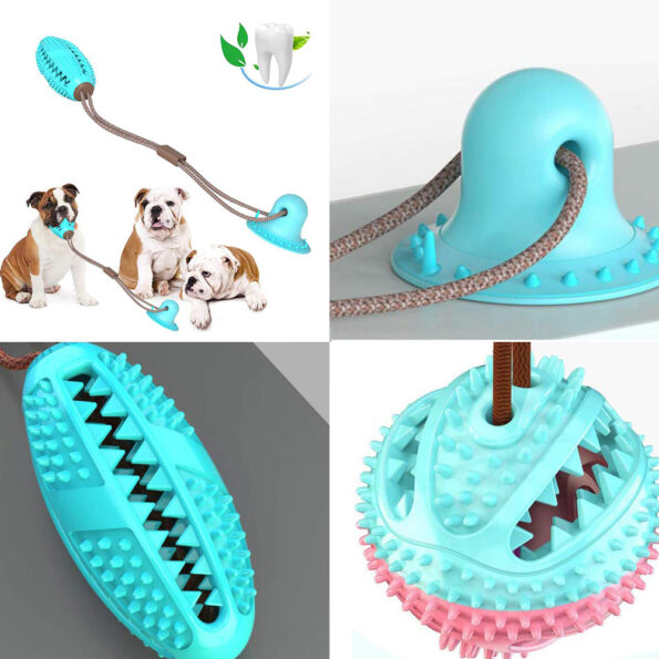 Balle à mâcher interactive avec ventouse – Jouet éducatif pour chien, nettoyage des dents & friandises – Image 2
