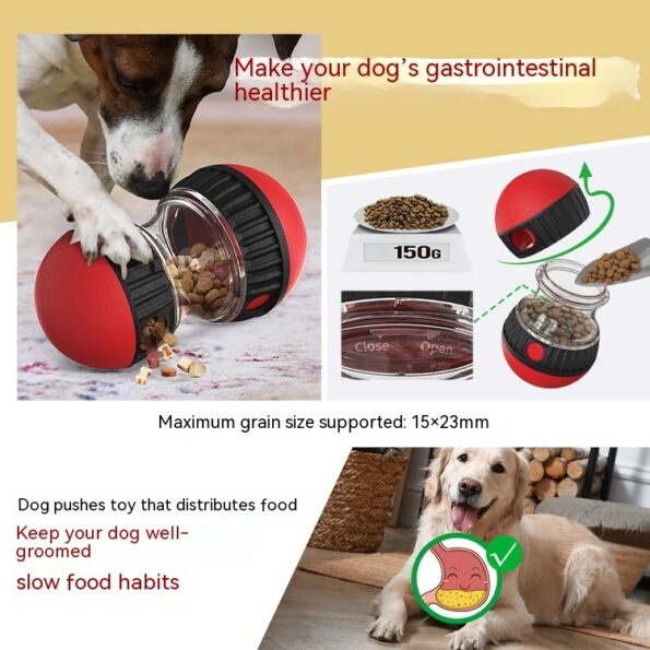 Jouet distributeur de croquettes – Tumbler interactif anti-glouton pour chien – Image 10