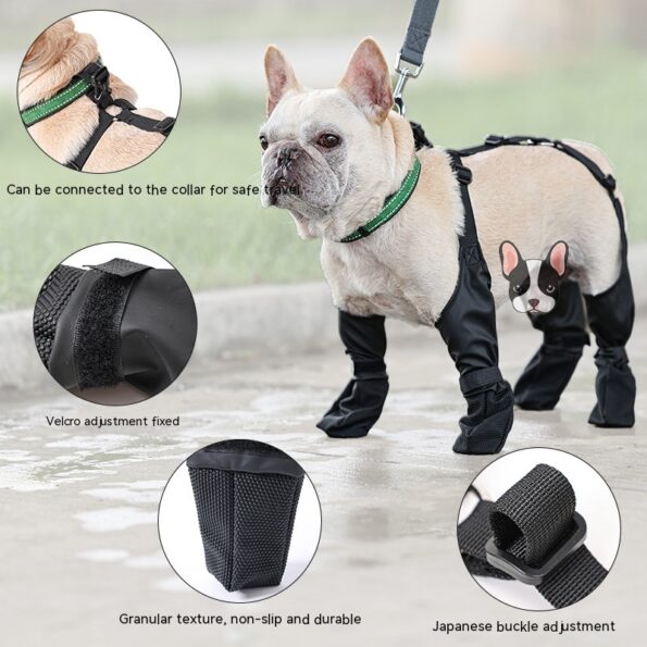 Chaussures pour chien imperméables – Protection des pattes en balade ! – Image 2