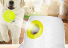 Lanceur de balle automatique pour chien – Amusement sans fin à la maison !