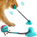 Balle à mâcher interactive avec ventouse – Jouet éducatif pour chien, nettoyage des dents & friandises