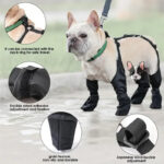 Chaussures pour chien imperméables – Protection des pattes en balade !