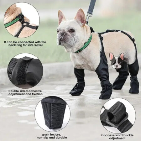 Chaussures pour chien imperméables – Protection des pattes en balade !
